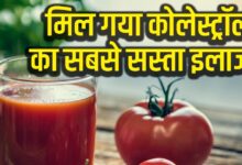 कोलेस्ट्रॉल का काल बन सकता है इस सब्जी का जूस, रोज इतना करें सेवन, LDL तुरंत होगा डाउन, रिसर्च में भी लगेगी बधाई