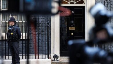 Car Crashes Into Downing Street Gates, 1 Arrested: Police